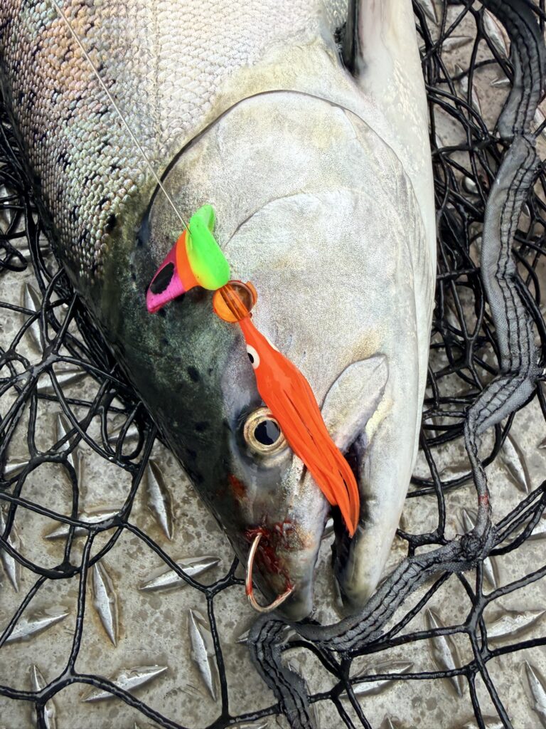 Salmon with Wacko