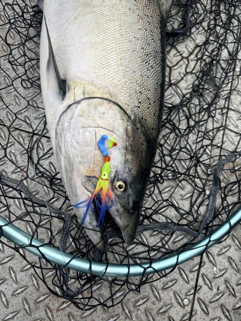 Salmon on boat with Wacko
