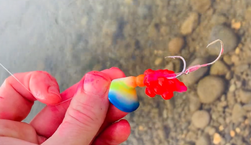 Wacko Clinch rig with salmon eggs